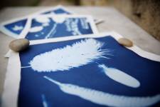 Anne JOLIVET - LES SENTIERS CREATIFS (PHOTOS EQUIVOX)