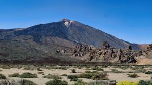 Noémy SMECICAS - SMECICAS NOEMY