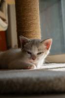 Charlie GARDERE - GARDERE CHARLIE